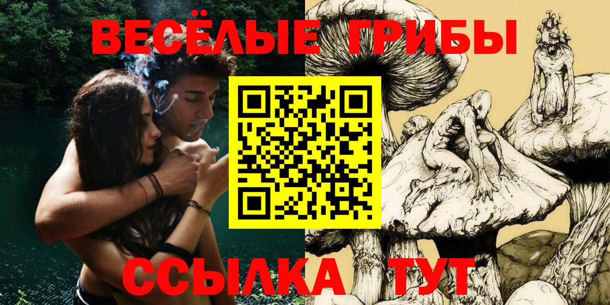 Псилоцибиновые грибы Cubensis Альметьевск