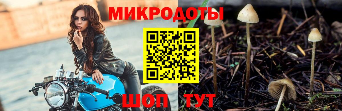 Псилоцибиновые грибы мицелий  Галлюциногенные грибы Magic Shrooms  Вход с VPN  Альметьевск 